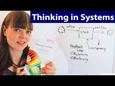 Key ideas of systems thinking (Thinking in Systems… preview image
