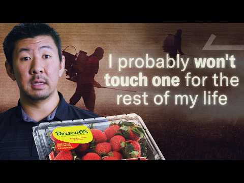 How Driscoll's Berry Empire Changed Fruit preview image