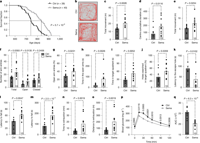 Late-Life Semaglutide Extended Lifespan in Mice preview image