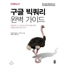 구글 빅쿼리 완벽 가이드 : 빅데이터 AI 머신러닝 엔지니어를 위한 대용량 데이터 분석 도구